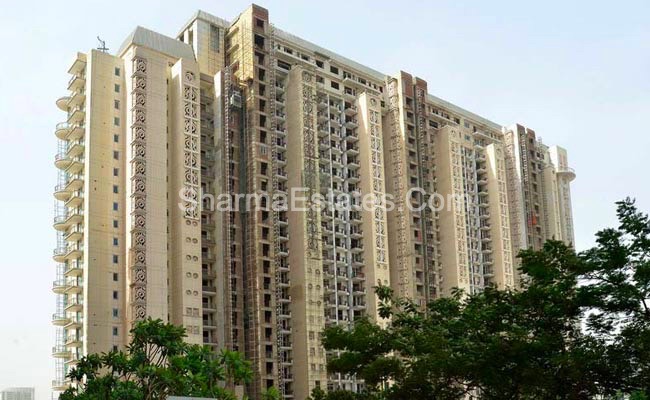5 BHK Duplex Apartment for Rent in DLF The Magnolias Sector-42 Golf Course Road Gurgaon(Haryana)