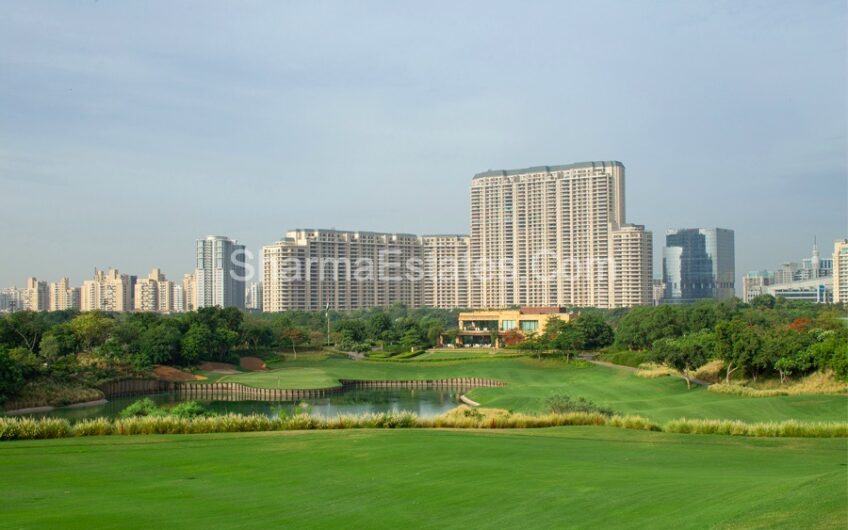 4 BHK Luxury Apartment For Sale in DLF The Camellias DLF Phase 5 Sector-42 Golf Course Road Gurgaon | Gurugram, Haryana