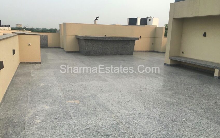 4 BHK Builder Floor Apartment for Sale in N- Block, Panchsheel Park New Delhi | Super Luxury Third Floor with Terrace Garden